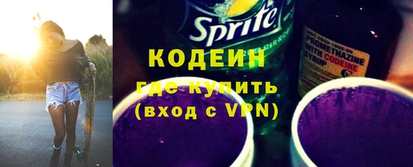 индика Михайловка