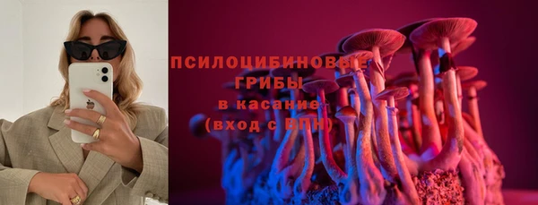 а пвп мука Семёнов